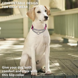 Pimaodog Martingale Dog Collar with Stainless Steel Chain - Limited Chain Cinch Training Collar for No Pull Training Dog - Flower Multicolor Cute Patterns - Premium No Slip Collar (HA12NO12, S)