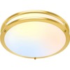 10 Inch LED Flush Mount Ceiling Light, Gold Kitchen Lighting