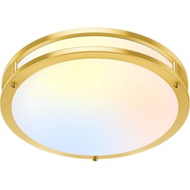 10 Inch LED Flush Mount Ceiling Light, Gold Kitchen Lighting Fixture with 2700K/3000K/4000K/5000K/6500K 5 Color Adjusted, Dimmable Modern Round LED Light for Bedroom Living Room Laundry, 1-Pack