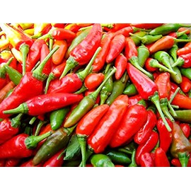 30+ Brazilian Pimenta Malagueta Hot Pepper Seeds Heirloom Non-GMO, Tabasco Type, Spicy, Delicious! from USA!