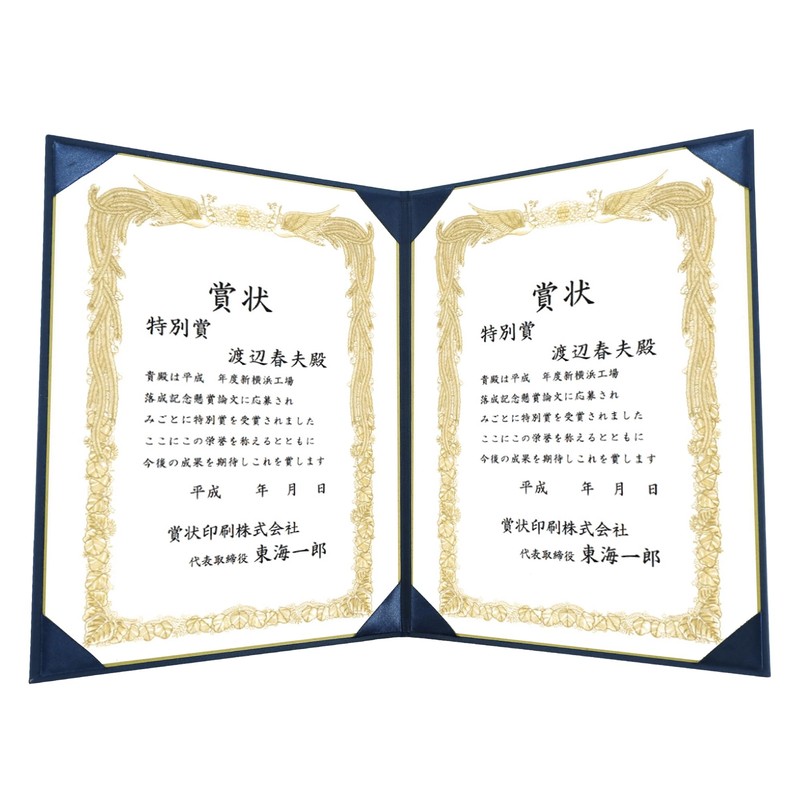 GraduationMall Award/Print Award File, Cloth, Navy, A4, For Two