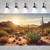 Reptile Habitat Background Sunset Desert Tank Decors Saguaro Cactus Arid