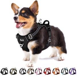 SlowTon No Pull Dog Harness, Heavy Duty No Choke Pet Harness with 2 Leash Clips and Easy Control Vertical Handle, Adjustable Soft Padded Dog Vest for Small, Medium and Large Dogs(Black,S)