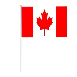 International World Stick Flag Hand Held Small Mini National Pennant Flags Banners On Stick Party Decorations For Parades Holiday Banner for Mantle