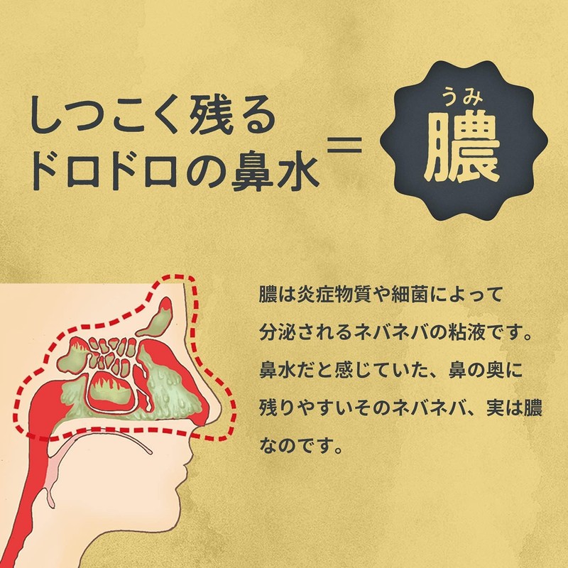チクナイン 鼻洗浄 ちくのう症などの鼻水・膿を洗い流す鼻うがい 簡単 シャワータイプ 鼻洗浄器 + 専用原液 6包 +