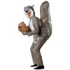 Rasta Imposta Squirrel Costume, Gray, One Size