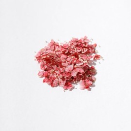  1 Boxes 50 pcs Nail Drying Flower, DIY, 3D Nail Art, Plant Theme, Irregular Shape, Flower Stickers Suitable for Care and Small Natural Nail Decoration, Accessories. (Madrid Apricot Powder)