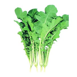 Leaf Radish Seeds - Saisai - Hybrid - 3 g Packet ~140 Seeds - Non-GMO, F1 Hybrid - Asian Garden Vegetable