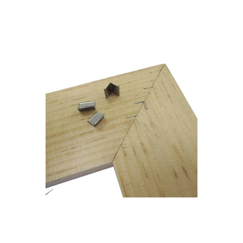 staxtools 1927741-50 V Nail Nails, 0.2 inches (5 mm), 50