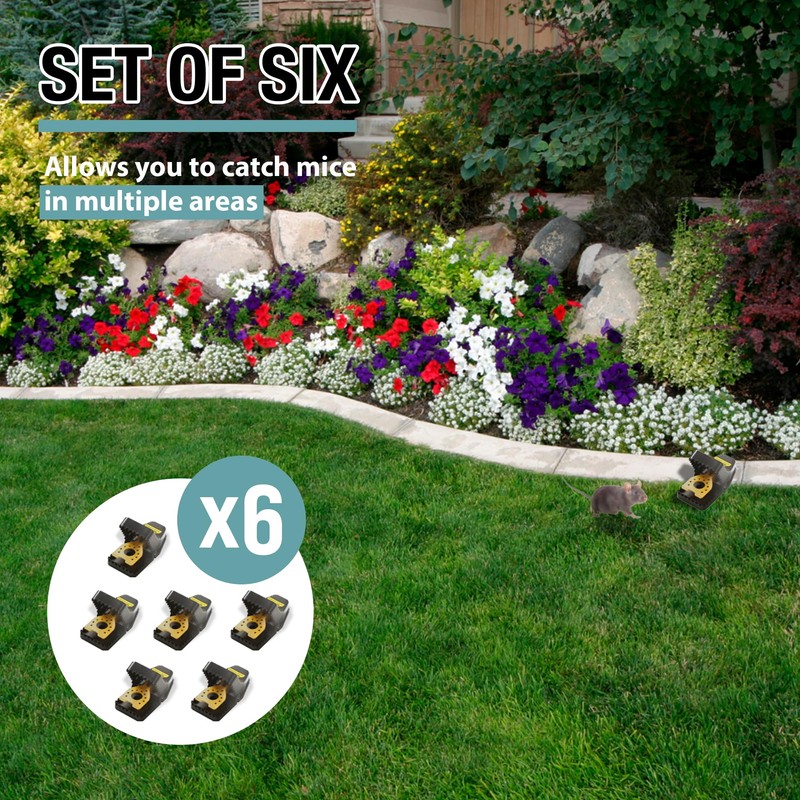 Brookstone Mouse & Rodent Trap - Set of 6 for