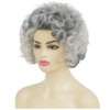 Grey Short Curly Wig Womens Fluffy Natural Looking Wig Synthetic