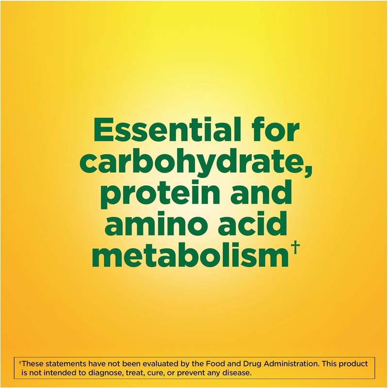 Nature Made Vitamin B-6 100 mg Tablets 100 ea (Pack