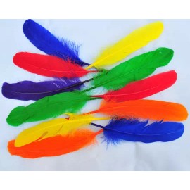 Feather Paradise Loose Goose  Pallet Feathers Package Mixed Colors As in Picture
