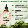 SCOLA Organic Oil of Oregano Liquid Drops, Herbal Supplement for