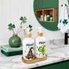 2Pcs St. Patrick's Day Soap Dispenser Lucky Shamrock Clover Gnome