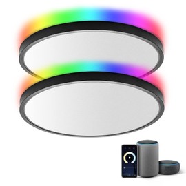 TALOYA 2 Pack Black Smart Ceiling Light Flush Mount LED WiFi, Compatible with Alexa Google Home, Dimmable Low Profile Ambient Light Fixture for Bedroom Living Room,12 Inch 24W
