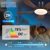 PHORUS Low Profile Ceiling Fans with Lights and Remote/APP,48 Inch