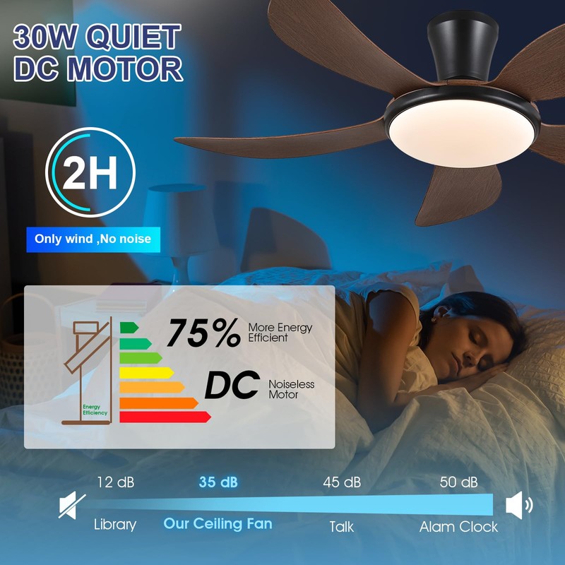 PHORUS Low Profile Ceiling Fans with Lights and Remote/APP,48 Inch