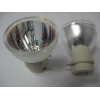 ViewSonic NEW OEM PROJECTOR LAMP BULB FOR VIEWSONIC VS13648 RLC061