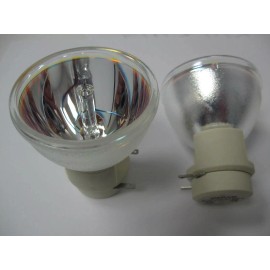 ViewSonic NEW OEM PROJECTOR LAMP BULB FOR VIEWSONIC VS13648 RLC061 PRO8200 PRO8300 RLC-061