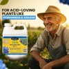 EZ-GRO Hydrangea Fertilizer, Liquid Plant Food 21-7-7 with Aluminum Sulfate