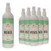 Productos Mart Mexico Tónico Facial Hidratante De Menta (500ml) 6