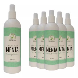 Productos Mart Mexico Tónico Facial Hidratante De Menta (500ml) 6 Pack