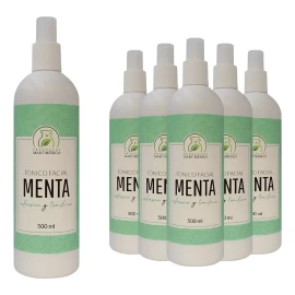 Productos Mart Mexico Tónico Facial Hidratante De Menta (500ml) 6 Pack