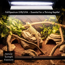 T5 HO UVB Reptile Light Bulbs – High-Output 24W 10.0UVB for Reptiles – Liner UVA UVB Light Ideal for Bearded Dragons, Strip UVB bar for Tortoise Tank Accessories, L=22''