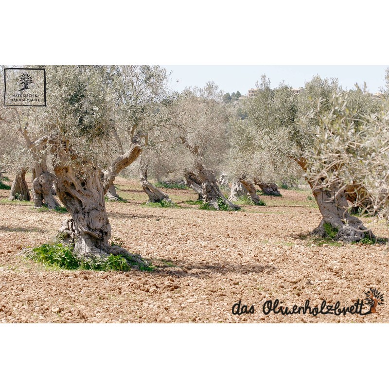 das Olivenholzbrett® Small Olive Wood Sugar Bowl with Lid and