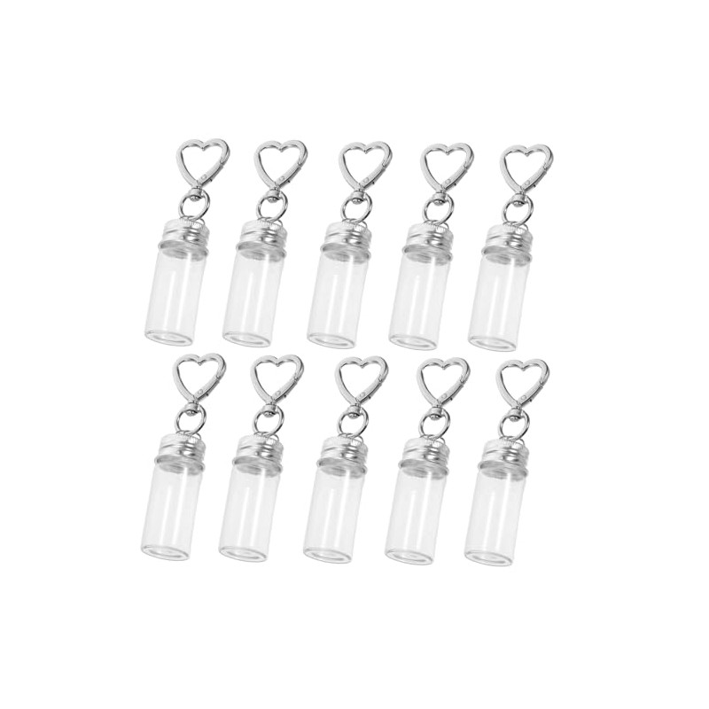 ifundom 10 Pcs Clear Gag Key Holder for Bottles, Bags