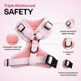 No Pull Puppy Harness and Leash Set – No Choke Neoprene Dog Harness for Large Dogs (40–60 lbs) – Pink - L, Lightweight Breathable Mesh with Unique Heart Pattern, Adjustable Fit