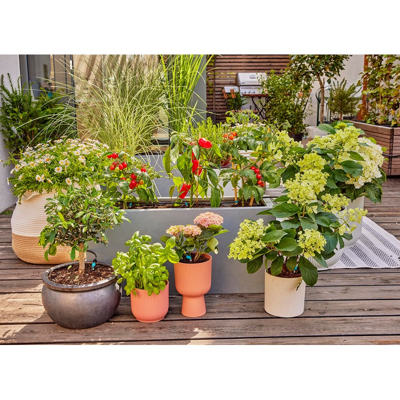 GARDENA Micro-Drip-System Inline Drip Head 2 l/h: Drip head for the