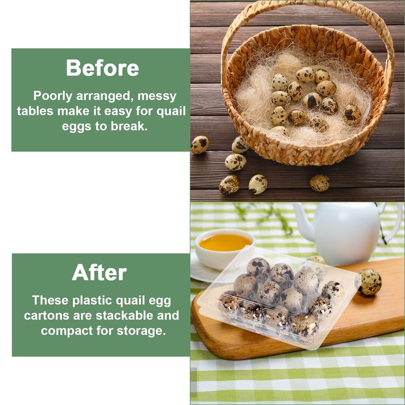 APACALI Pack of 60 Quail Egg Boxes, Quail Egg Boxes,