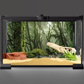 AWERT Foggy Forest Terrarium Background Stream Green Huge Tree Reptile Habitat Background Tropical Rainforest Aquarium Background 72x24 inches Durable Polyester Background
