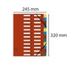 Exacompta 55245E Premium Folder Harmonica Made of Extra Strong Colorspan