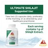Ascent Nutrition Ultimate Shilajit | Natural Source of Fulvic &