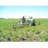 Organic Soybeans- nonGMO, 5 lbs., Farmer Direct, Identity Preseved, Dry