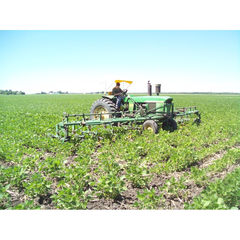 Organic Soybeans- nonGMO, 5 lbs., Farmer Direct, Identity Preseved, Dry