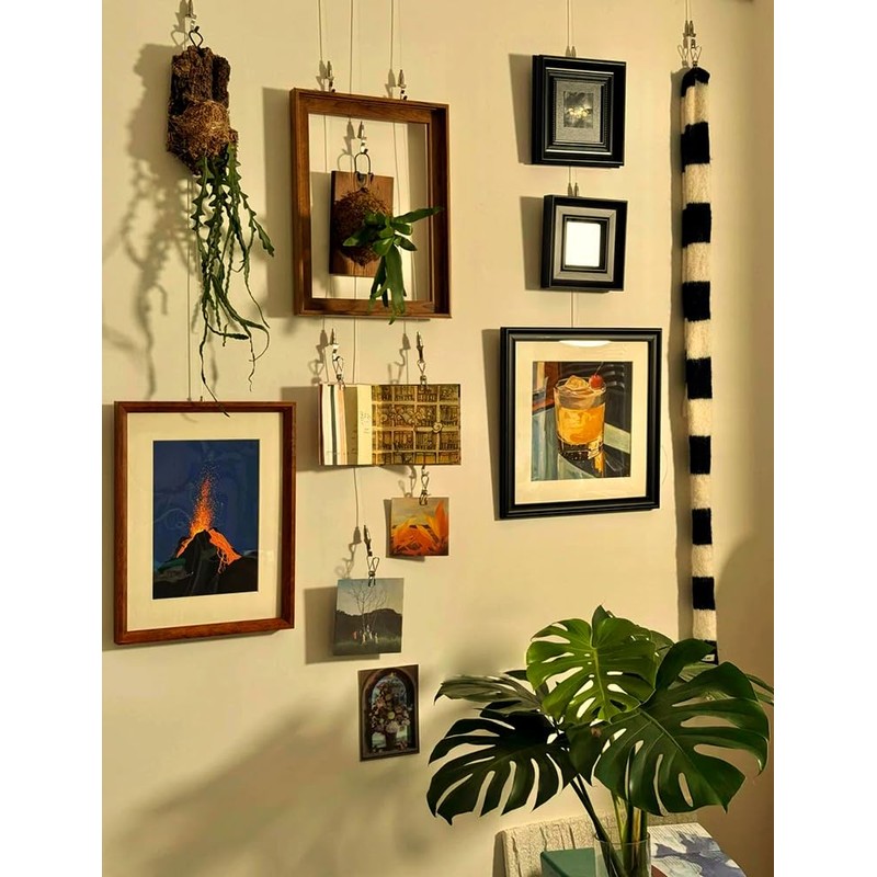 Universal Hardware Picture Rail Wire Hooks Hanger Picture Hooks (Set