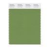 PANTONE Smart 17-0133X Color Swatch Card, Fluorite Green