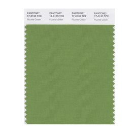 PANTONE Smart 17-0133X Color Swatch Card, Fluorite Green