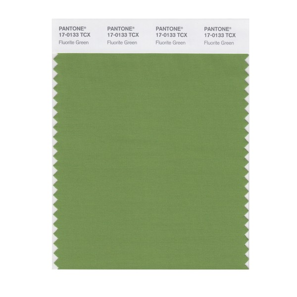 PANTONE Smart 17-0133X Color Swatch Card, Fluorite Green