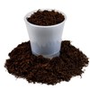 Premium New Zealand Tree Fern by GARDENERA - Orchid and
