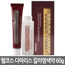 Hyundai 현대 다마리스 칼라 메리트 염새약/새치커버/로레알 Hyundai Damarys Color Merit Dye / Grey Coverage / L'Oreal