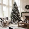 64 Pcs Christmas Ornament Plush Sequins Balls Bows, Black,White