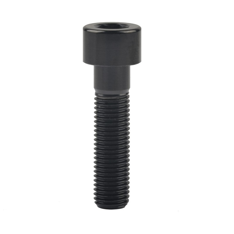 Wanyifa Titanium Cap Allen Socket Head Bolts M10 20 25