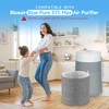 2 Packs Upgraded 511i Max Mixed HEPA Carbon Replacement Filter