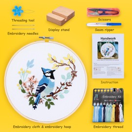 Hummingbird and Flower Embroidery Kit for Adults, DIY Embroidery Kits with Original Design Patterns, Learn to Embroider Kit Beginner with Needles and Thread, Clear Instructions and Video (BEB002)