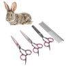 Pet Rabbit Grooming Scissors Stainless Steel Round Tip 4 in